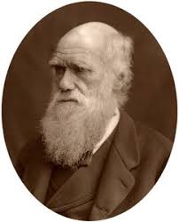 Charles Darwin, ca. 1870 von Julia Margaret Cameron