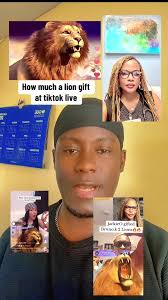 How Much Is Baby Lion Gift Worth in Ghana Cedis