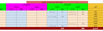 ضبط المصاريف والمقبوضات تعلم إنشاء جداول تنظم أمورك المالية يوميا