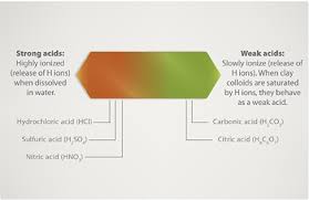 efficient fertilizer use guide soil ph mosaic crop