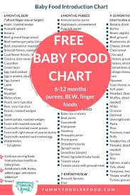 What do you need to make homemade baby food? Printable Baby Food Chart Blw Purees Finger Foods Baby Food Chart Baby Food Recipes Food Charts