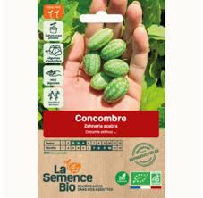 Image result for Zehneria scabra