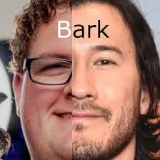 It came to me in a dream : r/distractible