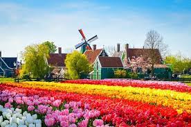 Go ahead eagles, heerenveen, rkc waalwijk. Vila Dos Minhos Na Holanda Com Campos De Flores Most Beautiful Gardens Big Garden Beautiful Gardens
