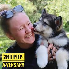 Wishing this amazing soul the HAPPIEST 2nd PUP-A-VERSARY! If you've met  Alexa, you know she's kind and caring to her very core. We are so blessed  to know her & to