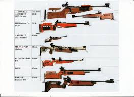The biathlon rifle is a sniper weapon introduced in the 15.3.0 update. Pin On Firearms