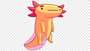 These patterns are very rough and are being compiled into pdfs! Axolotl Sticker Telegram Raccoons Axolotl Minecraft Food Sticker Png Pngegg