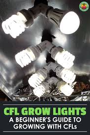 Using A Cfl Grow Light Is A Great Way To Get Started Growing Indoors Learn Everything You Need To Know About Cfl Grow Light S Grow Lights Home Hydroponics Cfl