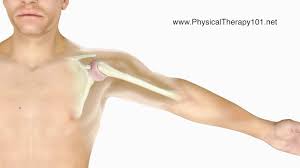 Image result for Frozen Shoulder