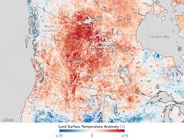 Wildfire community preparedness day 2020. 4 Reasons Alberta S Wildfire Is Such A Nightmare