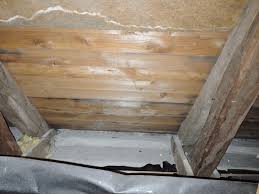 Image result for site:byggahus.se kattvind