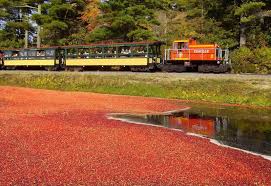 Edaville Railroad Carver Ma Train Rides Amusement Park Summer Bucket Lists