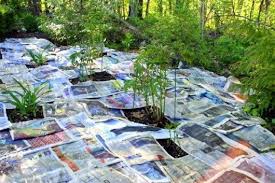 Le Jardinier Plante Des Fourchettes Dans La Terre La Raison Est Geniale Lit De Jardin Idees Jardin Bricolage Jardin