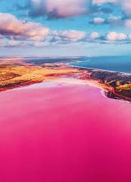 Magic Pink Lagoon In Western Australia In 2020 Australia Travel Travel Travel Aesthetic