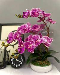Orkid Murah Kl Home Facebook