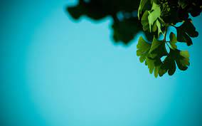 75,000+ vectors, stock photos & psd files. Simple Nature Desktop Wallpapers Top Free Simple Nature Desktop Backgrounds Wallpaperaccess