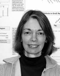 Roger Innes named chair of biology