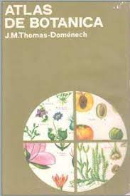 Atlas De Botanica Domenech Ciencias Naturales Libros De Geologia Minerales Botanica Botanica Pdf Ciencias Naturales