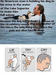 Lie Down Try Not To Cry Cry A Lot An Emotional Meme Collection Emotional Meme Try Not To Cry Faith In Humanity