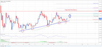 ripple price analysis xrp usd could soon rally coingape