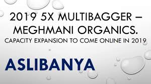 2019 5x Multibager Meghmani Organics