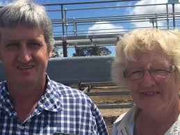 Harold Curry and Co's Tenterfield weaner sale