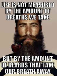 40 Funny Beard Memes Hottest Celebrity Beards To Celebrate National Beard Day Beard Humor Beard Memes Funny Beard Memes