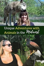 Unique Adventures With Animals In The Midwest Adventure Mom Midwest Vacations Midwest Travel Family Vacation Travel
