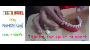 teeth model making using clay play doh