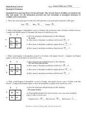 Spongebob genetics answer key each question. Andrew Miller Am112786 Bikini Bottom Genetics Pdf Andrew Miller Am112786 Name Bikini Bottom Genetics Incomplete Dominance Spongebob Loves Growing Course Hero
