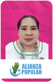 Candidaturas y planes de gobierno