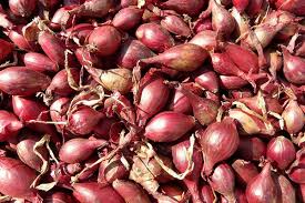 Ekonomi 15 nov 2019 12:15 stok menipis, harga bawang merah naik jadi rp 40 ribu per kg. Harga Bawang Merah Anjlok