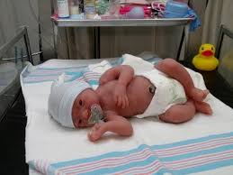 Birds And Bees Nursery Julie Molloy Birds Bees Nursery Silicone Babies Silicone Babies Bee Nursery Reborn Baby Dolls