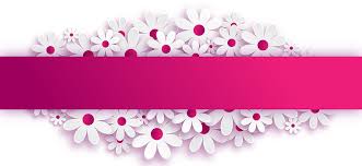 Banner Plate Signboard Flowers Youtube Banner Backgrounds Youtube Channel Art Youtube Banner Template