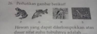 We did not find results for: Hewan Yang Dapat Dikelompokkan Atas Dasar Sifat Suhu Tubuhnya Adalah Brainly Co Id