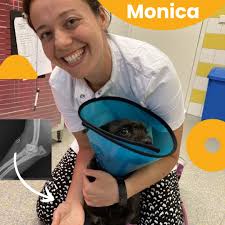 Dier Medisch Centrum Gouda