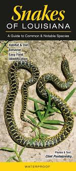 Buy Snakes Of Louisiana A Guide To Common And Notable