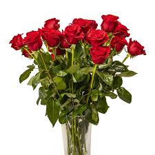Foto di un bouquet con 5 rose rosse. Rose Rosse A Gambo Corto Fioriweb Online