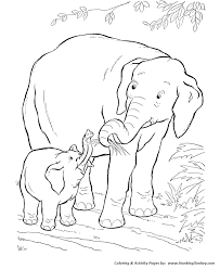 In africa, where the bush elephant, the largest living land animal lives, they are. Elephant Coloring Sheet Coloringnori Coloring Pages For Kids