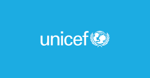 the structure of unicef structure and contact information