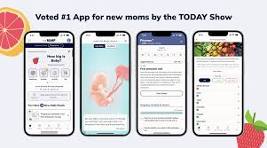 The Best Pregnancy Tracker App from The Bump