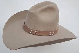 8x Sahara Quigley Western Cowboy Hat Etsy In 2021 Western Cowboy Hats Cowboy Hat Styles Cowboy Hats