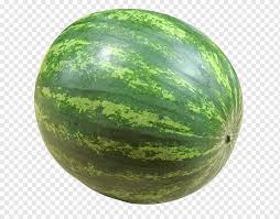 Check spelling or type a new query. Watermelon Fruit Vegetable Watermelon Food Orange Melon Png Pngwing