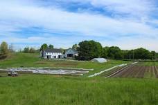 Library Field Trip: Wright-Locke Farms Tour & Cooking Demo