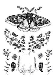 Tribal tattoos grey ink tattoos tattoos skull elephant tattoos black and grey tattoos cool tattoos gypsy tattoos ear tattoos tatoos. Pin De Paige Murphy Em Skinspiration Tatuagens Aleatorias Tatuagens Artisticas Fazer Uma Tatuagem