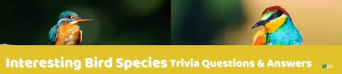 They come in all shapes and sizes, colors and patterns, with so many different behaviors that it's hard to keep track of them all! 73 Interesting Bird Trivia Questions And Answers