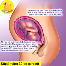 See more of sarcina pe saptamani on facebook. Saptamana 30 De Sarcina Cu Video Desprecopii Com