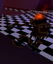 In this video i go over things you should know about roblox. Undead Servant Swordburst 2 Wiki Fandom