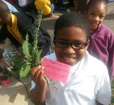 Dish with Gracie: Search Results