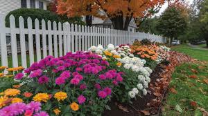 SANDERS SEEKS TO END GROCERY TAX